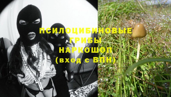 прущие крисы Алексин