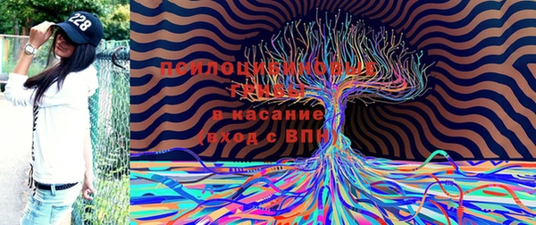 кокаин Алексеевка